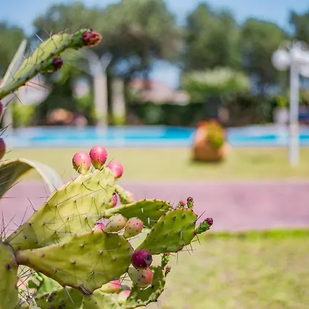 Villa Rodami Artisan Manor *