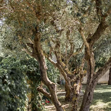 Rodami Artisan Manor Zakynthos Town