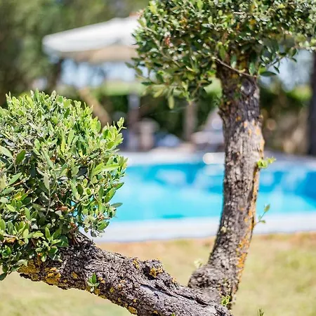 Rodami Artisan Manor Villa *