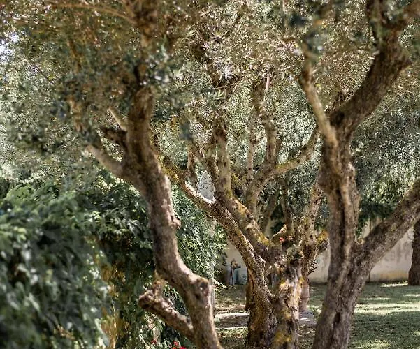 Rodami Artisan Manor Kalliteros