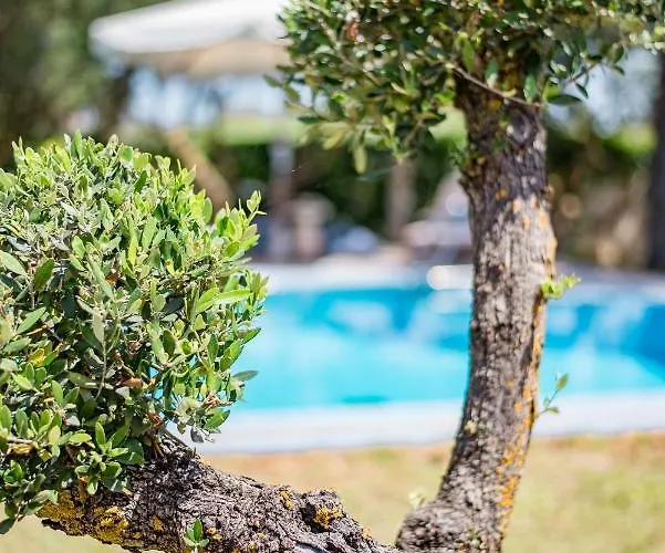 Rodami Artisan Manor Villa *